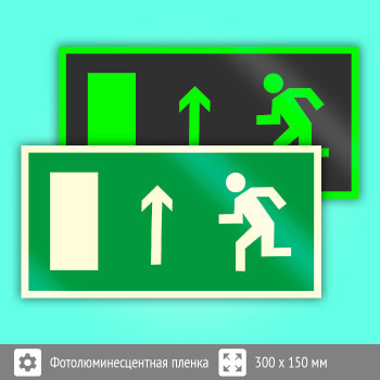 Знак E12 «Направление к эвакуационному выходу прямо (левосторонний)» (фотолюминесцентная пленка, 300х150 мм)