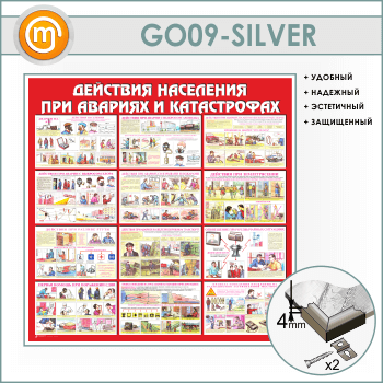 ����� ��������� ��������� ��� ������� � ������������ (GO-09-SILVER)