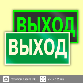 Знак E22 «Указатель выхода» (фотолюминесцентная пленка ГОСТ 34428-2018, 250х125 мм)