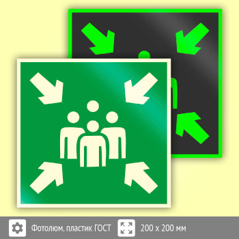 Знак E21 «Пункт (место) сбора» (фотолюминесцентный пластик ГОСТ 34428-2018, 200х200 мм)