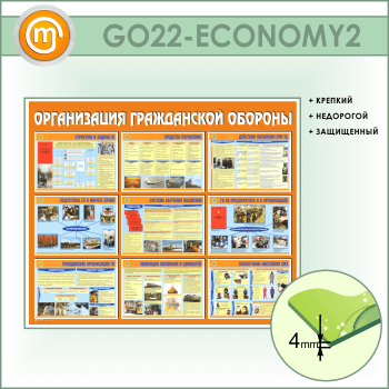 ����� ������������ ����������� �������� (GO-22-ECONOMY2)