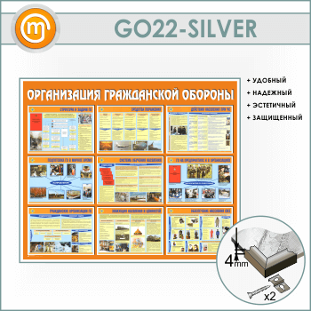 ����� ������������ ����������� �������� (GO-22-SILVER)