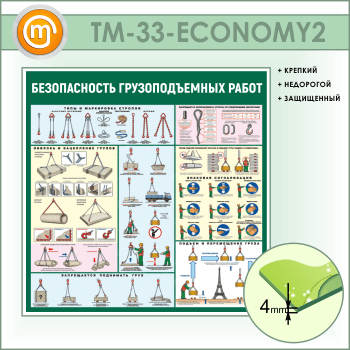 ����� ������������� �������������� ����� (TM-33-ECONOMY2)