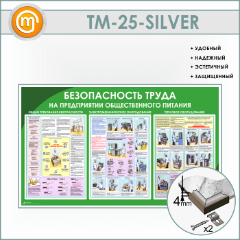 ����� ������������� ����� �� ������������ ������������� �������� (TM-25-SILVER)
