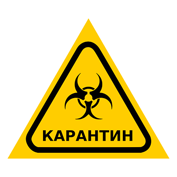 Знак «Карантин», Q13.6 (пластик, сторона 200 мм)