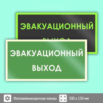 Знак B43 «Эвакуационный выход» (фотолюминесцентная пленка, 300х150 мм)