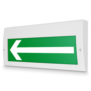 �������� ����� �������� �����, ������ (220� ���)