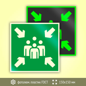 Знак E21 «Пункт (место) сбора» (фотолюминесцентный пластик ГОСТ 34428-2018, 150х150 мм)