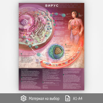 Плакат «Вирус» (М-29, 1 лист)