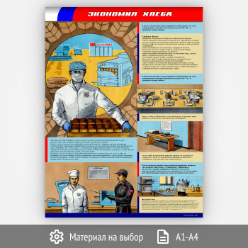 ������ ��������� ����� (�-31, 1 ����)