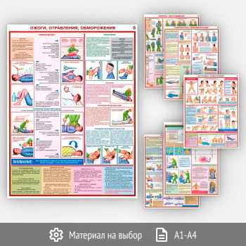 ������ ��������� ������ ������ ������������ (�-39, 6 ������)