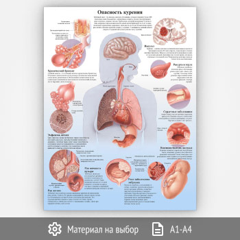 ������ ���������� �������� (���-15, 1 ����)