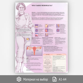 ������ ���� ����� ���������?� (���-17, 1 ����)