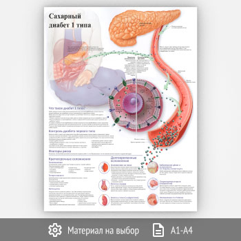 ������ ��������� ������ 1 ���� (���-26, 1 ����)